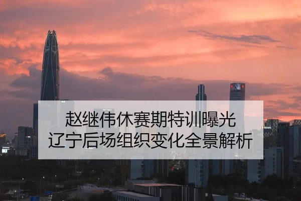 赵继伟休赛期特训曝光 辽宁后场组织变化全景解析